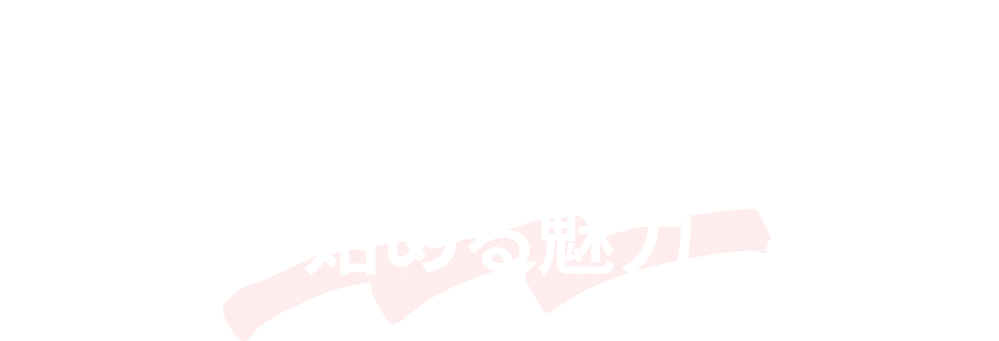 パートナーエージェント事業の魅力